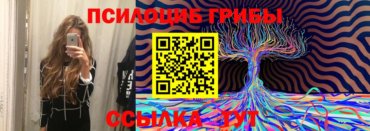 Псилоцибиновые грибы мицелий Строитель