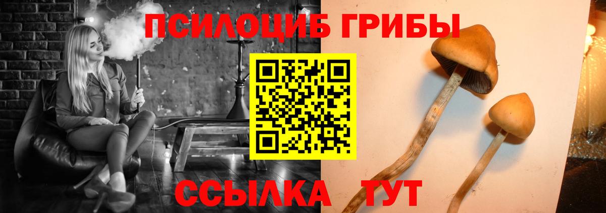 Строитель  Галлюциногенные грибы Psilocybe  Вход с VPN  Псилоцибиновые грибы прущие грибы 
